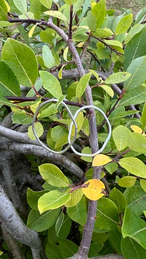 Image of Organic hammered earrings