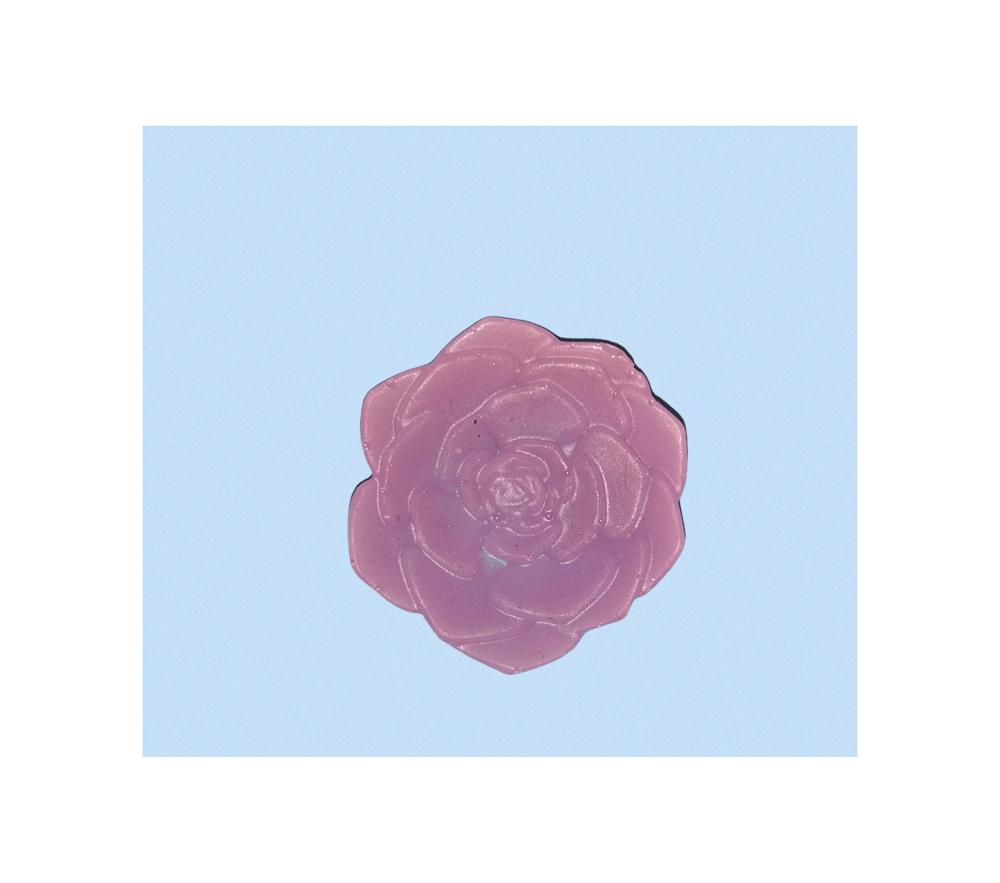 Image of Purple Rose