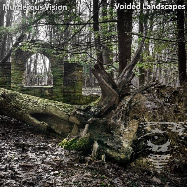Image of Murderous Vision - Voided Landscapes CD