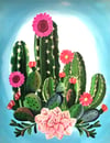 "Cactus Blooms"