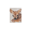 Animal Spirit Guide Illustration and Poem Pack - unframed