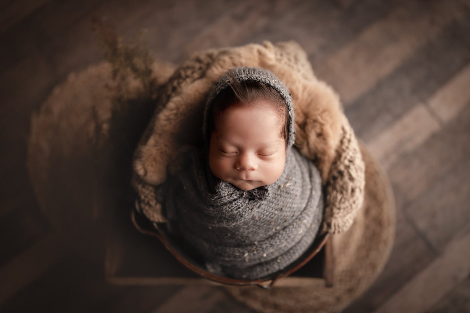 raleigh newborn photographer - baby isabella and her family