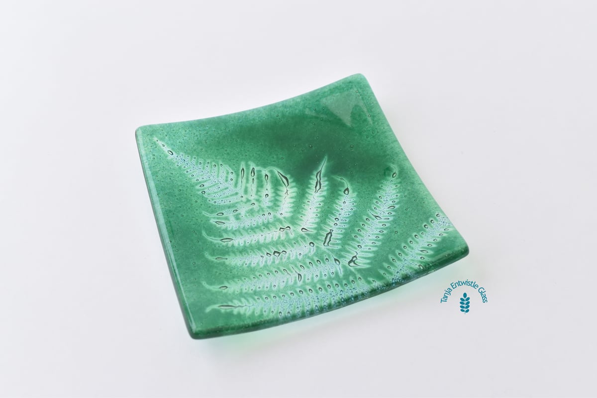 Image of Fern Leaf Ring - Trinket Dish: Choice of Colours
