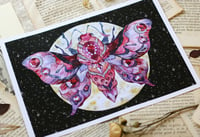 Image 1 of Crystal Moth. Print