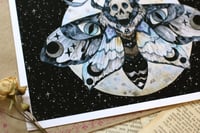 Image 2 of Death moth. Print