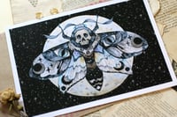 Image 5 of Death moth. Print