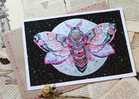 Image 1 of Love moth