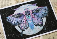 Image 3 of Galaxy moth. Print