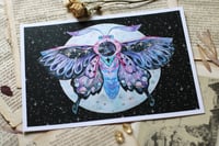 Image 4 of Galaxy moth. Print