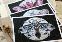 Image 5 of Galaxy moth. Print