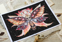 Image 1 of Skull Moth. print