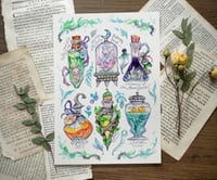 Image 1 of Magic potions. Prints