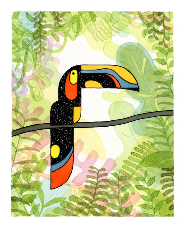 Image of PRINT :: THE TOUCAN
