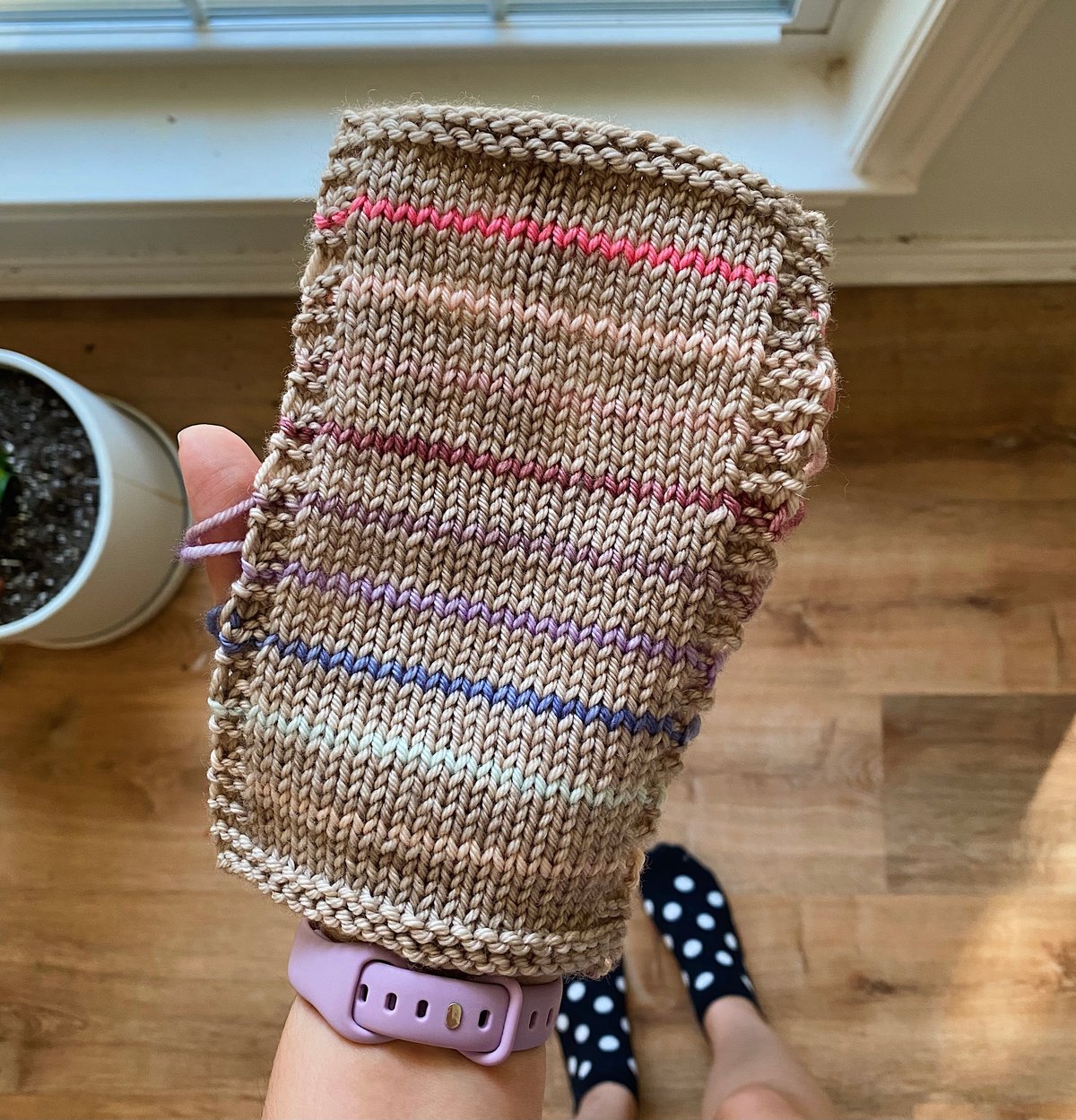 Ampersand (PREORDER 12-16 WEEKS)