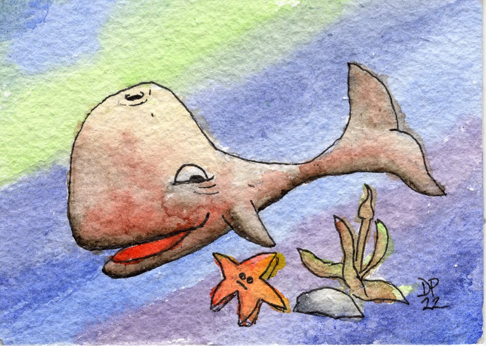 Image of Whale Starfish Rock Kelp