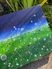 Image 5 of 'Dandelion Meadow' 