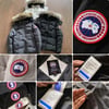 Canada Goose