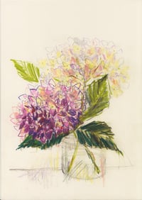 Hydrangeas no. 1