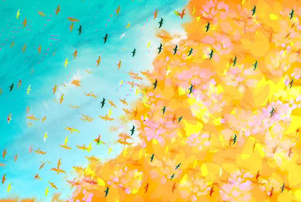 Image of Fly Into The Sun