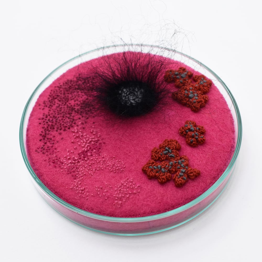 Image of Contamination series - Petri dish No. 10