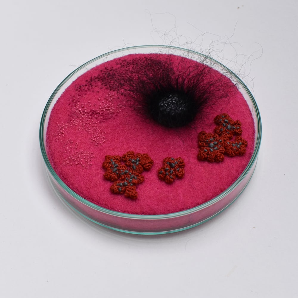Image of Contamination series - Petri dish No. 10