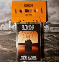 Image 5 of LOGICAL MADNESS DEMO CASSETTE