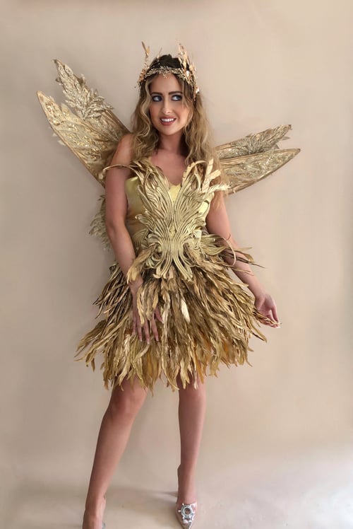Image of Gold Feather Forest Fairy Costume
