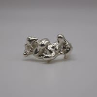 Image 2 of zusammen ring