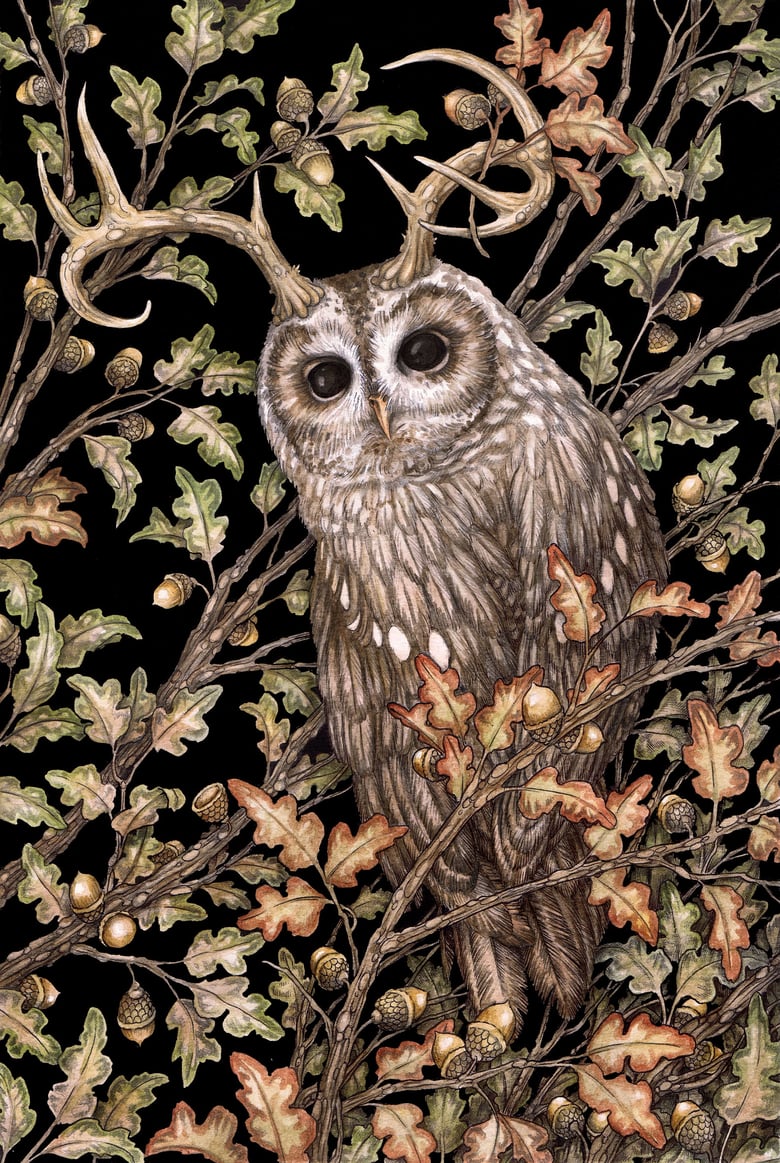 Image of 'Watcher in the Oak' by Adam Oehlers 