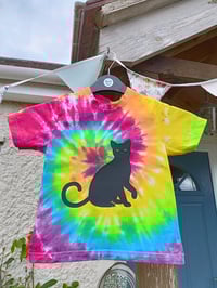 Black cat on rainbow spiral