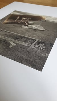 Image 2 of 'Plunge Pool'