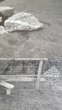 Image 4 of 'Plunge Pool'