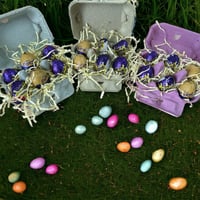 Filled Egg Box Carton 