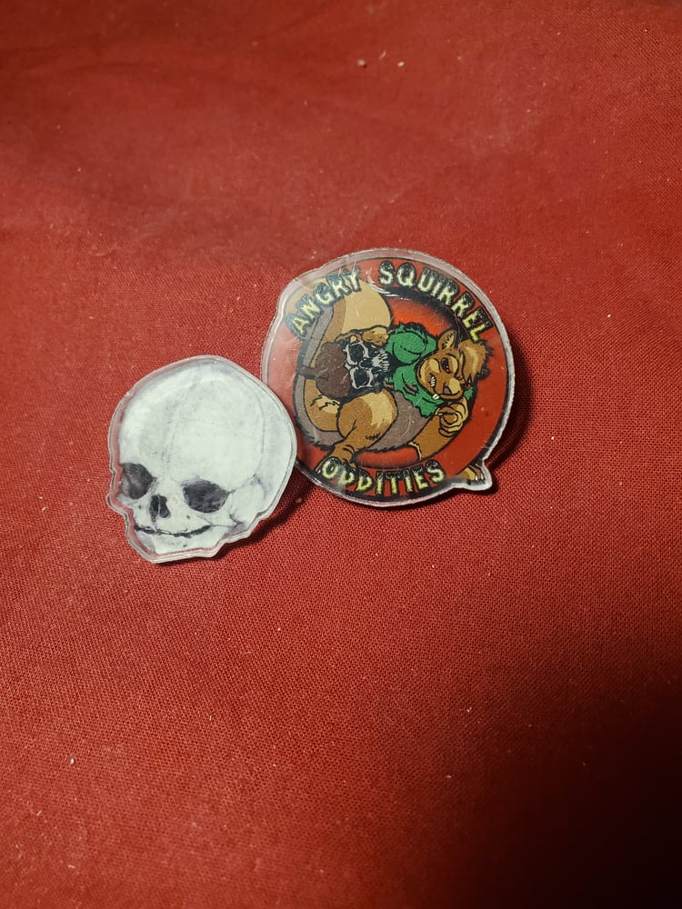 Image of Acrylic Pins