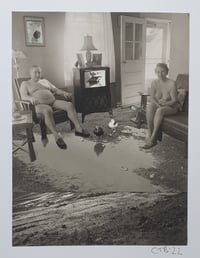Image 1 of 'Animal Farm'