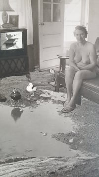 Image 4 of 'Animal Farm'