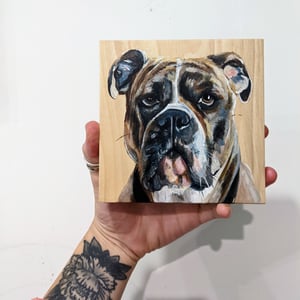  6"x6" Pet Portrait 