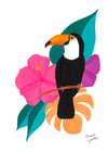 Toucan