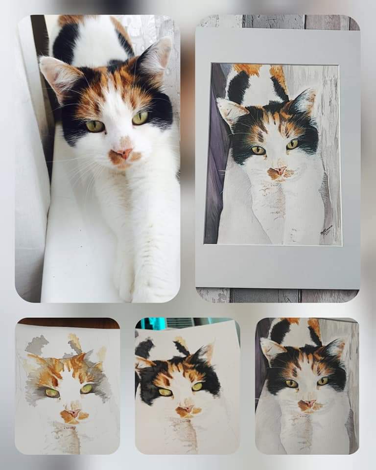 Image of Commissioned Watercolour Paintings