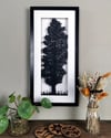 Poplar Tree - Framed Papercut