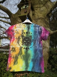 Moons cat
