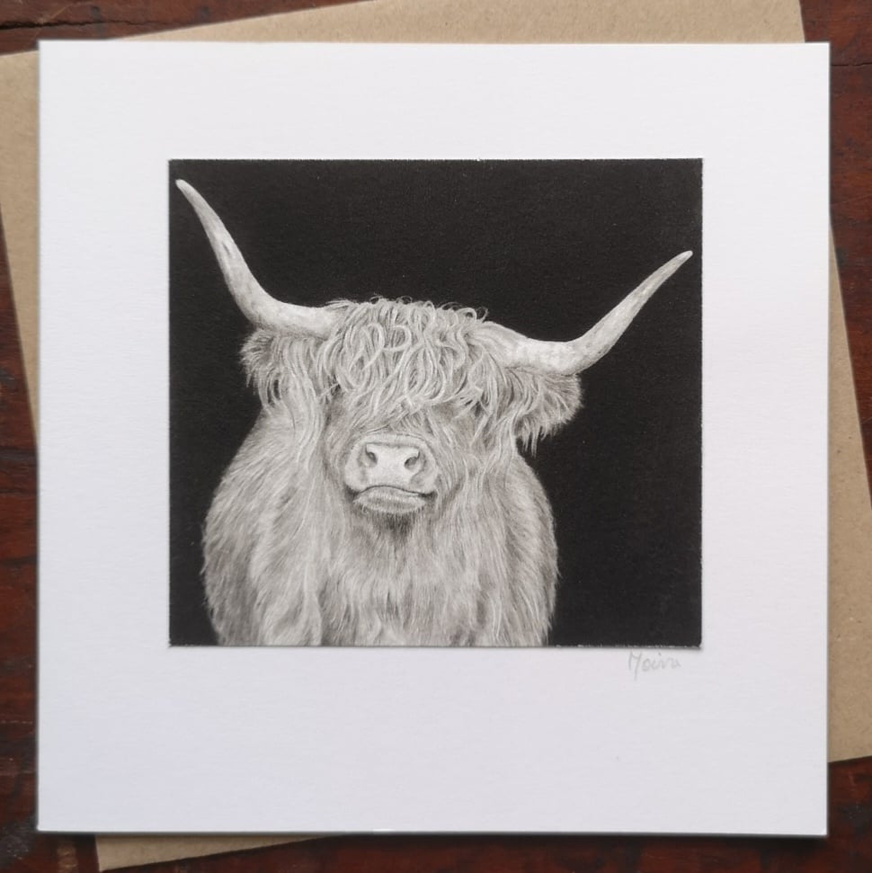 Image of HIGHLAND COW ~ GREETINGS CARD