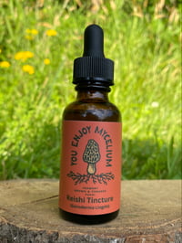 Reishi Tincture 1 oz