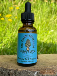 Turkey Tail Tincture 1 oz