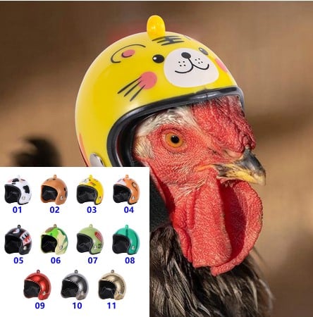 PRE-ORDER!!! Introducing the CHICKEN HELMET | Trendy Paws and Claws