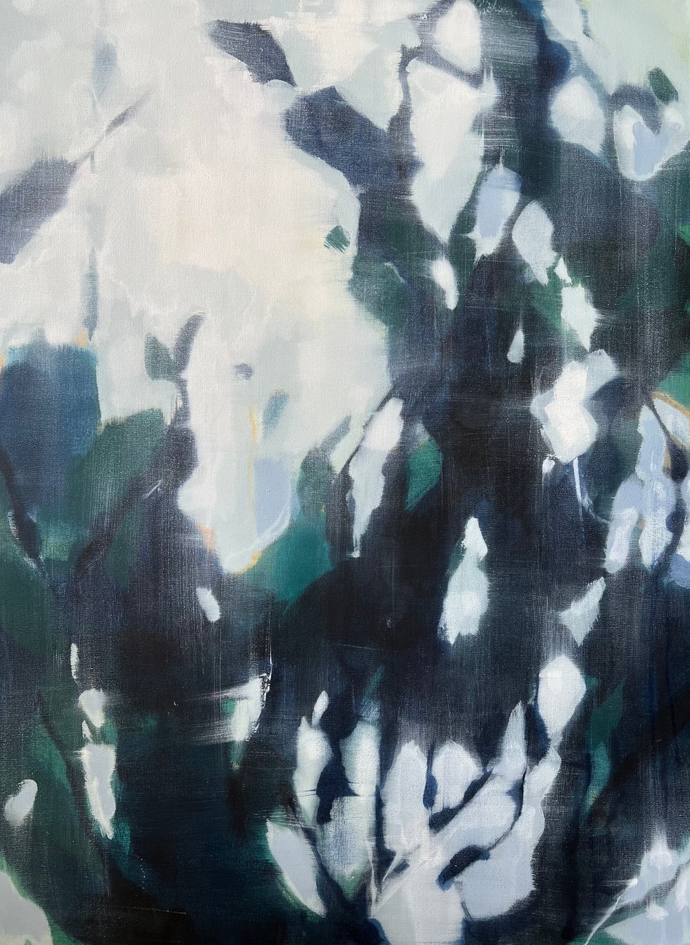 Image of the rope swing