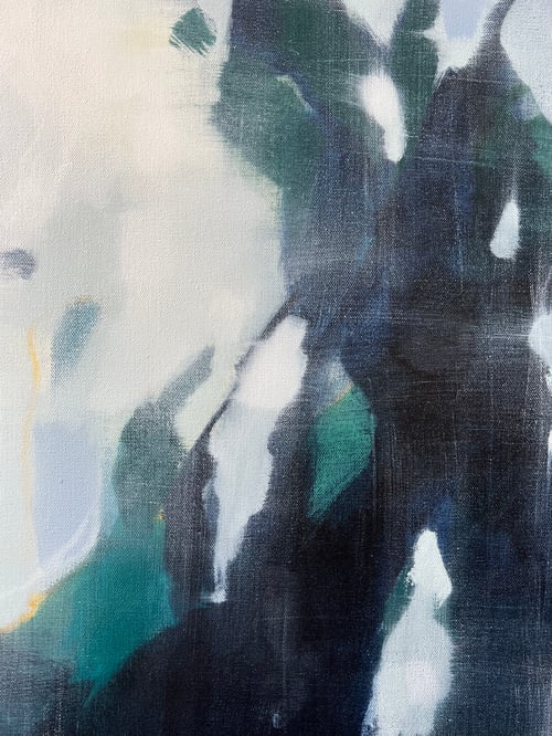 Image of the rope swing