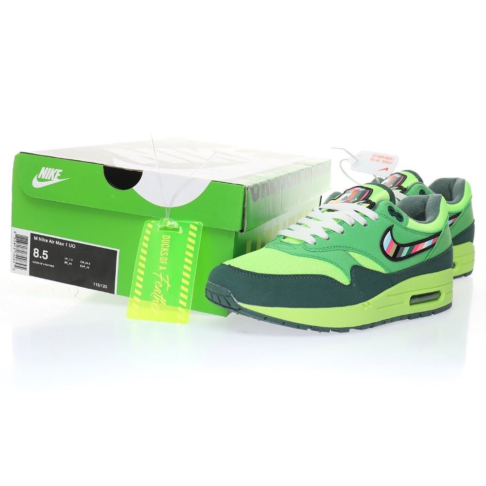 Image of Tinker Hatfield x Nike air max 1 “Duck of a feather” 