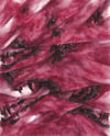 vvolv ii (4x5, 8x10, 11x14, or 13x16 inches) fine art print