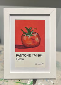 Image 3 of Tomato Pantone